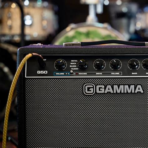 GAMMA Series Guitar Amps Acoustic Control Corp