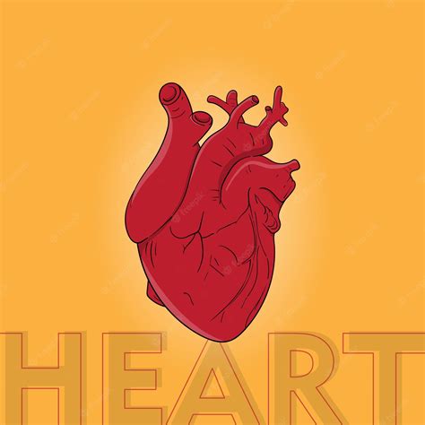 Premium Vector Red Human Heart Illustration In Cartoon Hand Drawn In