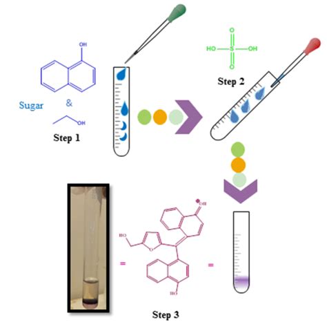 Figure 1 Molisch Test For Carbohydrates Laboratory Activities To