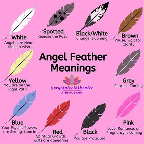 Angel Feather Meanings 🪶 : r/spiritueel