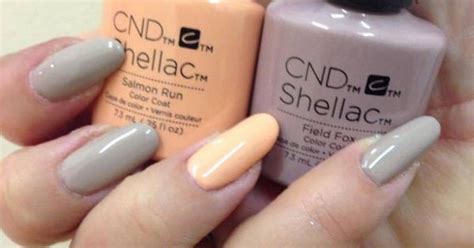 Cnd Salmon Run Field Fox Colours I Have At The Moment Nails