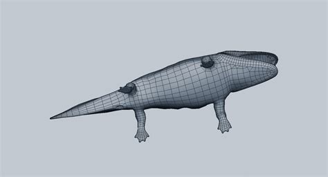 Mastodonsaurus 3d Model Turbosquid 1358723