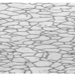 Microstructure of fully ferrite of low carbon steel (Krauss, 2009 ...