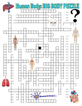 Human Body Systems Science Webquest Vocabulary Puzzle Tpt