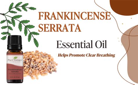 Amazon Plant Therapy Frankincense Serrata Essential Oil 100 Pure