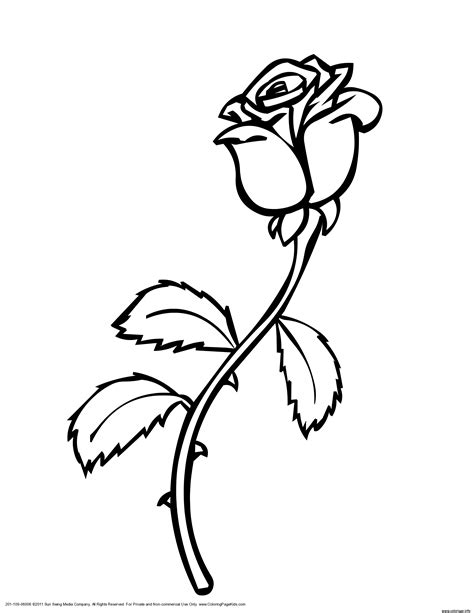 Coloriage Roses Dessin Rose Imprimer