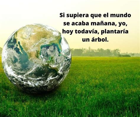 30 Frases Para Reflexionar Sobre El Medio Ambiente Fraseslistas