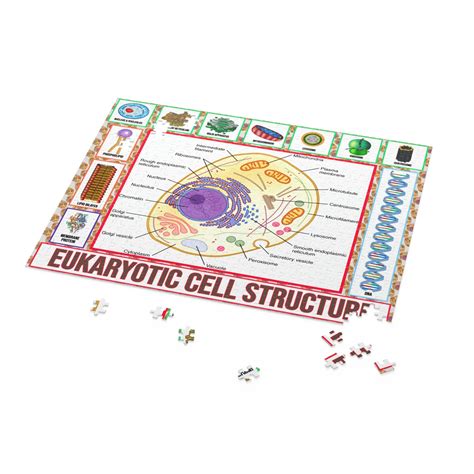 Cell Structure Puzzle Science Puzzles Cell Biology Puzzles