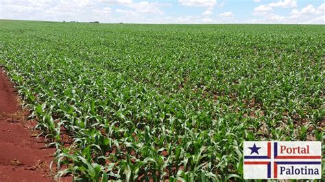 Taxa O Do Agro No Pr Projeto Pol Mico Do Governo Estadual Ser Votado