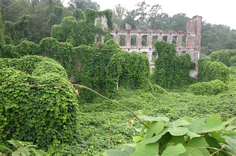 Kickstarting Kudzilla A Kudzu Covered Monster Roadside Attraction