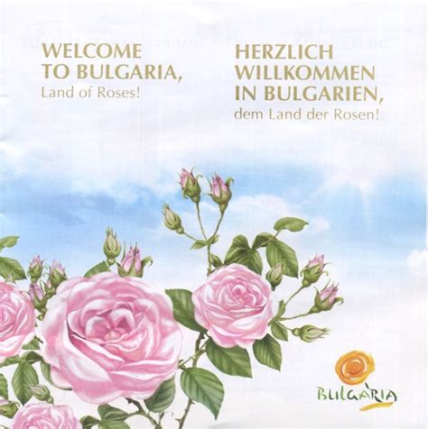 Bulgarian Rose Karlovo Rose Bulgarian Rose Rose Illustration Rose