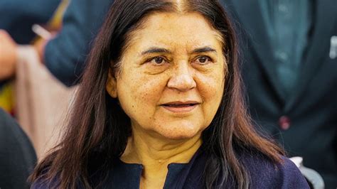 No Gandhi From Pilibhit After 3 Consecutive Years Maneka Gandhi On Bjp