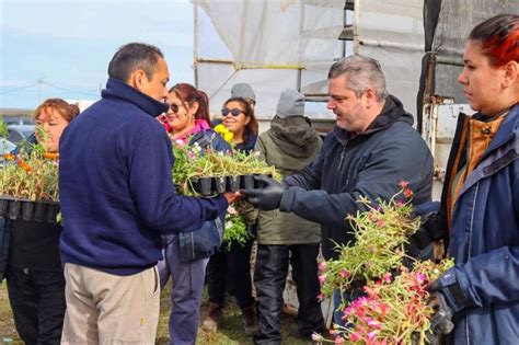 Comenz Con Xito La Entrega De Plantines En R O Grande Noticias D