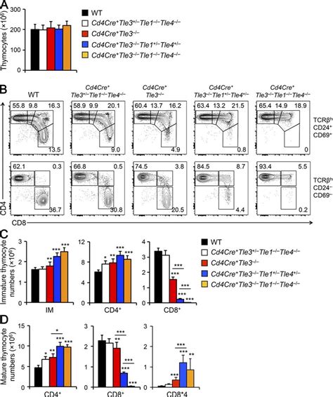 Loss Of Tle Tle And Tle Abrogates Cd T Cell Development A