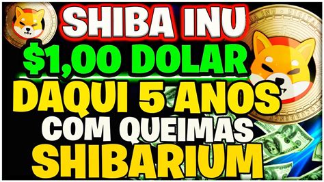 Dolar Shiba Inu Hoje Daqui Anos Pode Acontecer Queimas Na