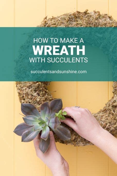 How To Make A Living Succulent Wreath Succulents And Sunshine