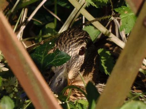 Et Si On En Profitait Pour Regarder La Nature