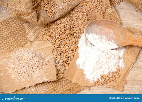 Wheat Grains Bran And Flour Stock Photo Image Of Uncooked