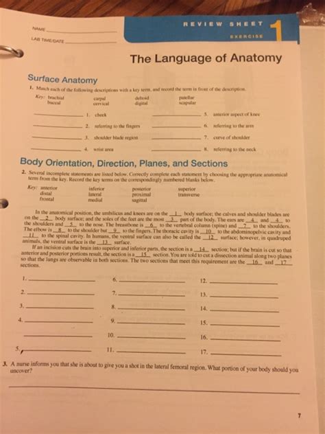 The Language Of Anatomy Review Sheet Exercise Answer Key Exercise