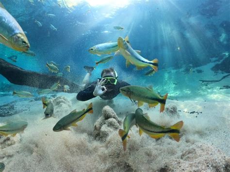 Amigos Do Meio Ambiente Atrativos De Ecoturismo Em Ms Recebem Selo