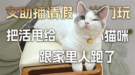 女助播请假出门玩，把活甩给小猫咪跟家里人跑了 孤烟暮蝉 孤烟暮蝉 哔哩哔哩视频