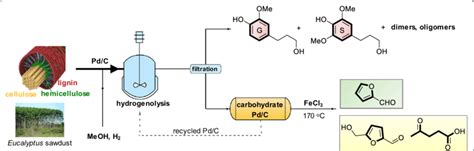 Schematic Representation Of The Reductive Catalytic Fractionation Rcf Download Scientific