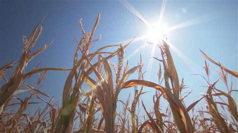 Was Die Trockenheit Für Landwirtschaft Und Gewässer Bedeutet