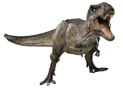 jurassic world tyrannosaurus rex render   tsilvadino  deviantart