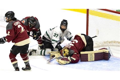 Stu Cowan Montreal Loses Pwhl Home Opener But Womens Hockey Wins