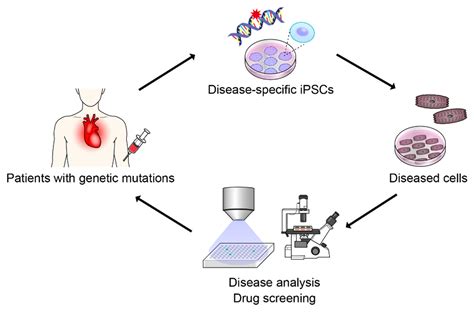 Induced Pluripotent Stem Cell-Based Drug Screening by Use of Artificial