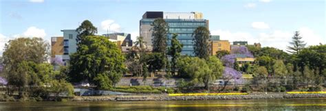 Need Accommodation close to the Wesley Hospital Brisbane? - Founda Gardens Blog