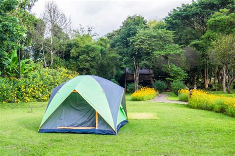 3 Expert Tips for Backyard Camping | Apartment Therapy