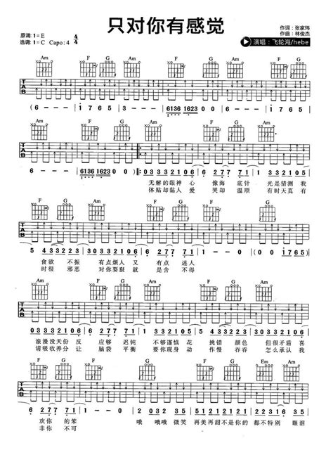 只对你有感觉吉他谱 飞轮海 C调吉他弹唱谱 琴谱网