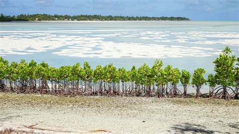 Third Pacific Ocean Climate Change Conference to be delivered online ...