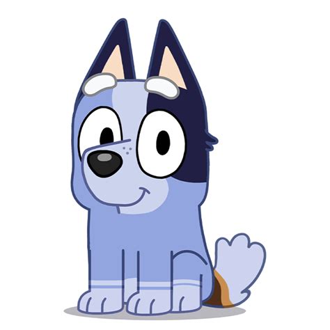 Socks Bluey Png El Taller De Hector