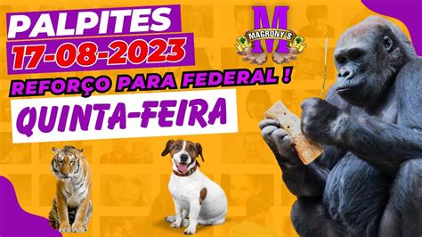 REFORÇO FEDERAL POP LOOK CE PB BAHIA E CORUJA PALPITES DIA 17 08 2023