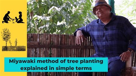 Miyawaki Method Of Tree Planting Explained In Simple Terms Youtube