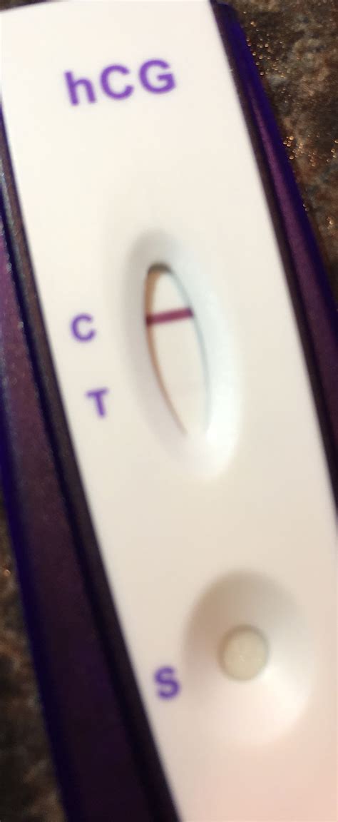 evap line on equate pregnancy test 5