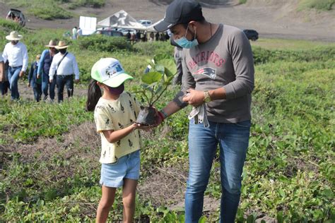 Jornada Estatal de Reforestación Apispv