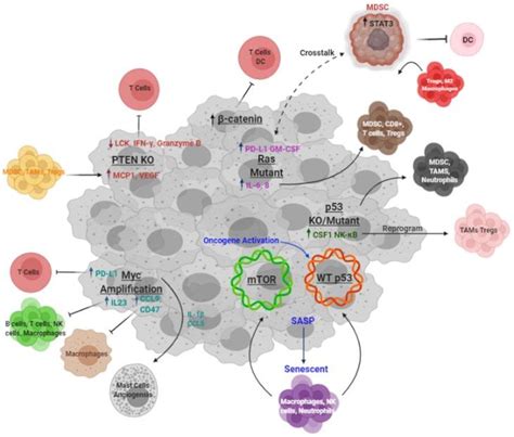 Tumor Driven Mechanisms Of Immunosuppression Schematic Of Known