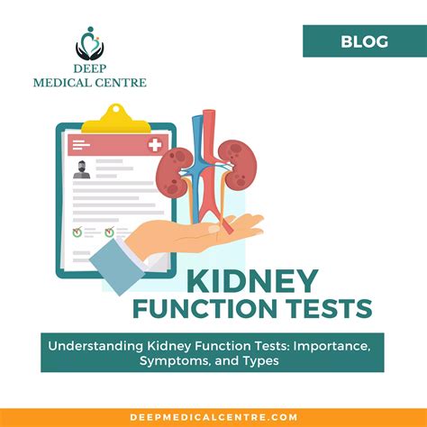 Understanding Kidney Function Tests: Importance, Symptoms, And Types ...