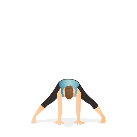 Yoga Poses Dictionary Pocket Yoga