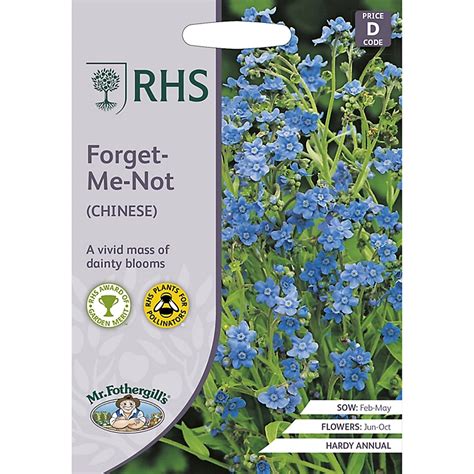 Forget Me Not Chinese Forget Me Not Seed Diy At Bandq