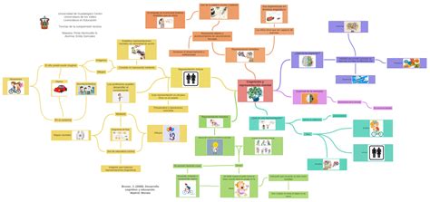 Cognición Y Representación Mental Image Universidad De Guadalajara