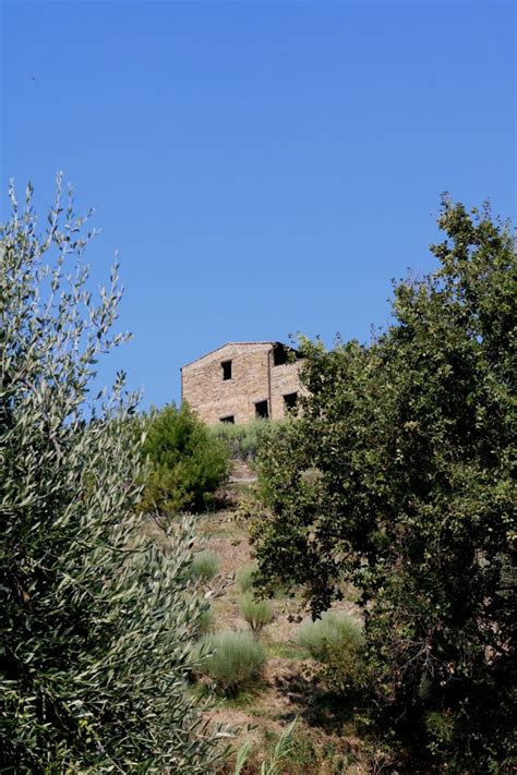 San Biagio Della Cima IM Rustico Sovrastante Strada Sanferian