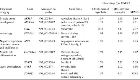 Pdf Autophagy Induction In The Skeletal Myogenic Differentiation Of