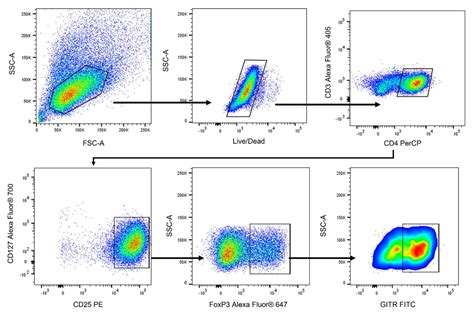 Regulatory T Cell Treg Flow Cytometry Panel