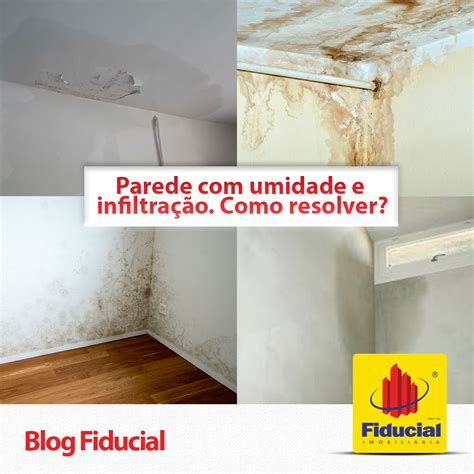 Parede Umidade E Infiltra O Como Resolver