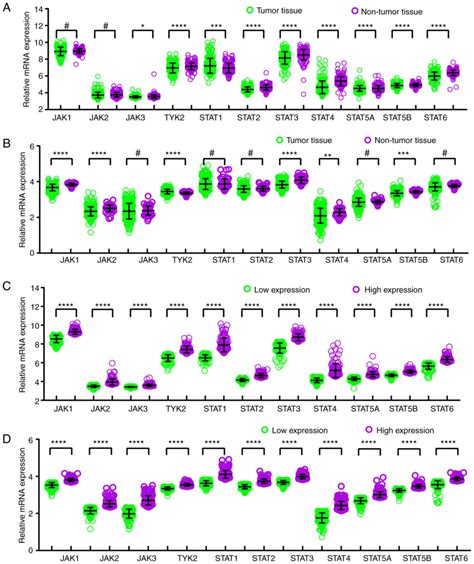 Analysis Of Clinical Significance And Prospective Molecular Mechanism