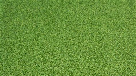 Synthetic Turf That Is Natural Looking Turf In Oregon